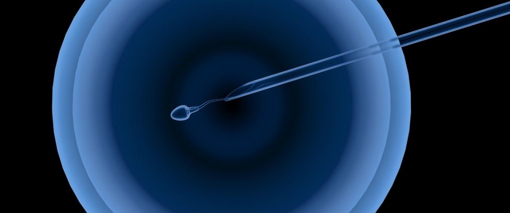 inseminasi buatan