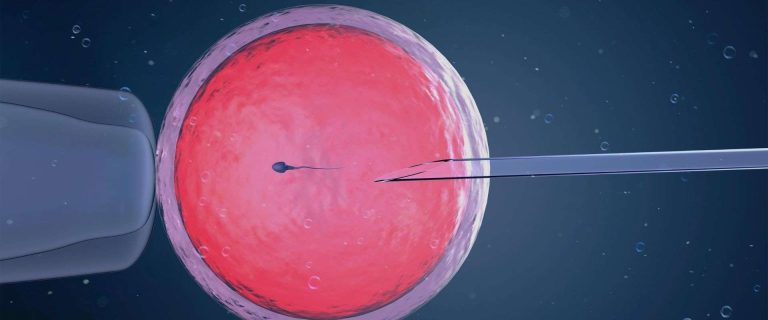 perbedaan inseminasi dan bayi tabung