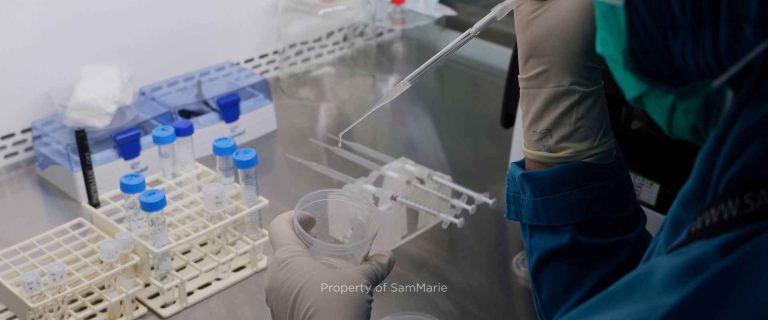 tahapan inseminasi buatan